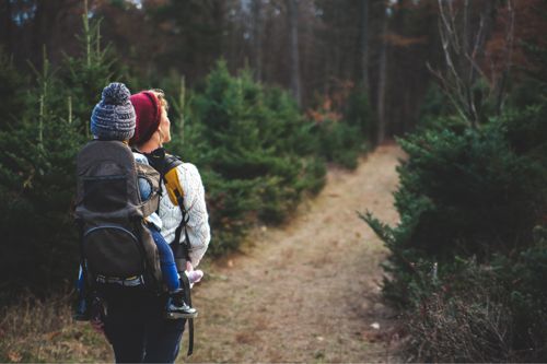 Nature Trails Near Meaford Ontario